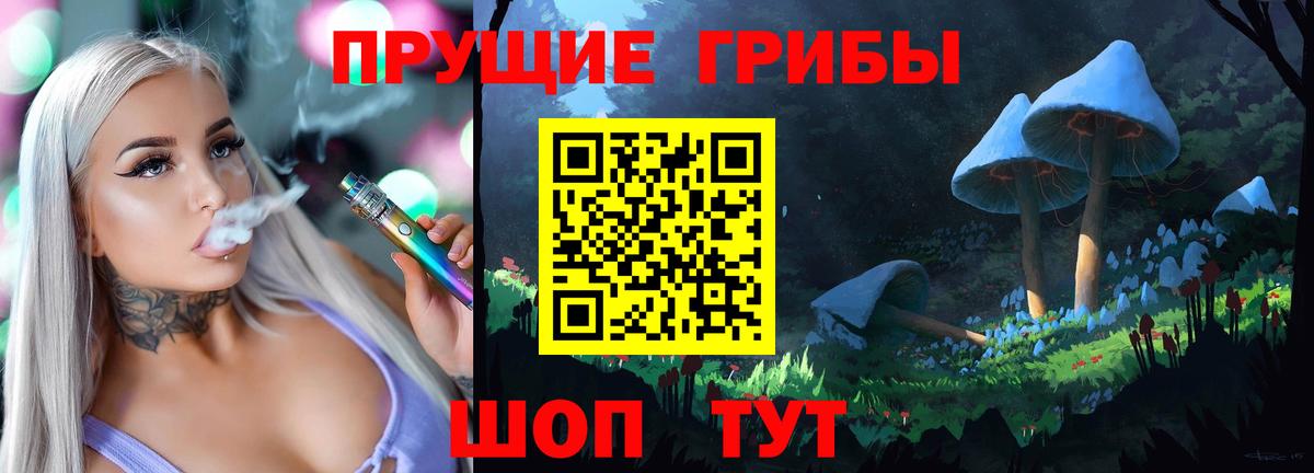 Пенза  Псилоцибиновые грибы прущие грибы  купить закладку  Псилоцибиновые грибы Psilocybe  Вход с VPN 